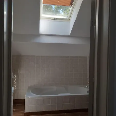 Willa Alexander Resort & Spa - Caloroczny Kryty Basen Mielno  Room photo